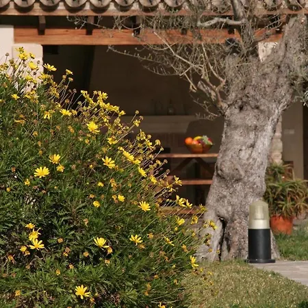 Butxaco Villa Pollença