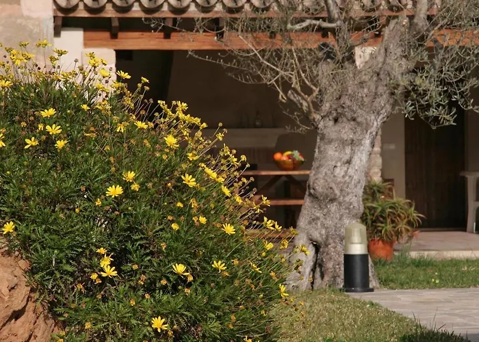 Butxaco Villa Pollença